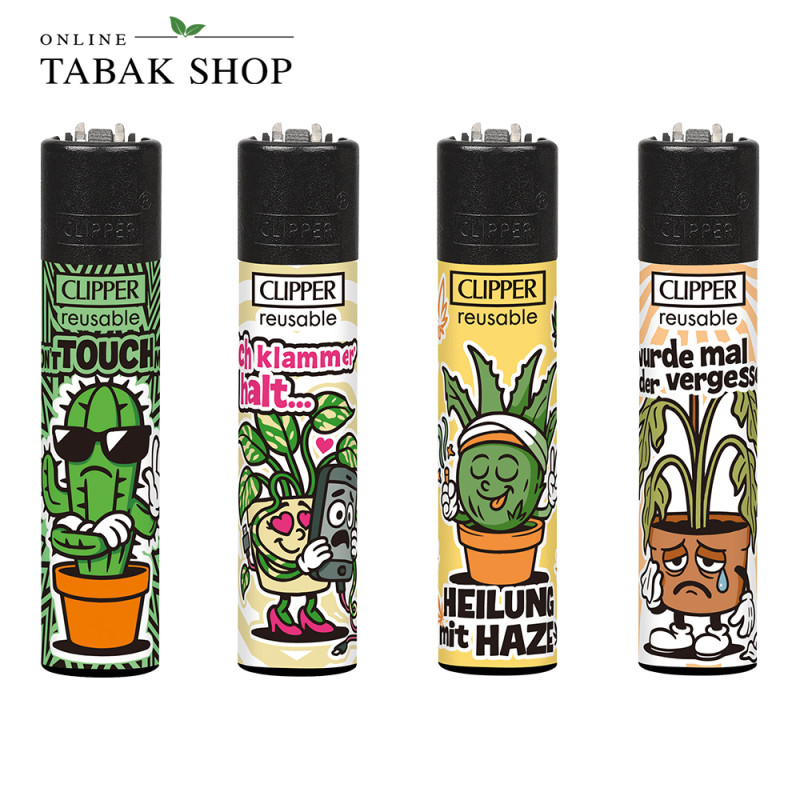 Clipper Classic Zimmerpflanzen –  Komplettset (4er-Pack)