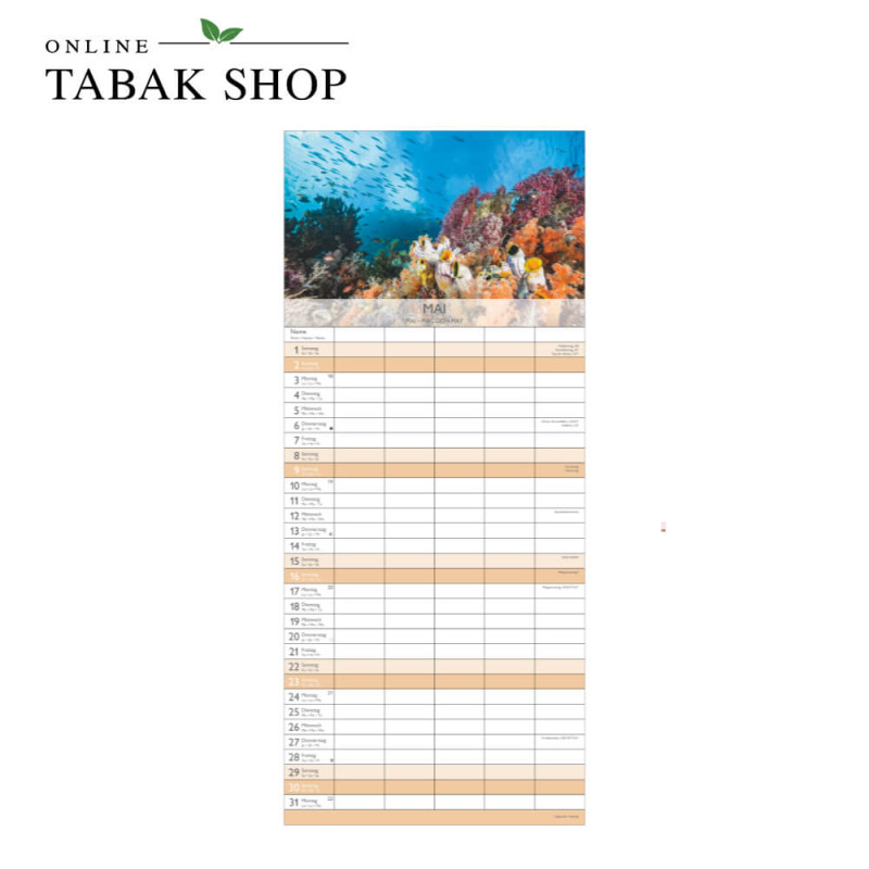 Traumziele für deine Seele (Wandkalender) Mai