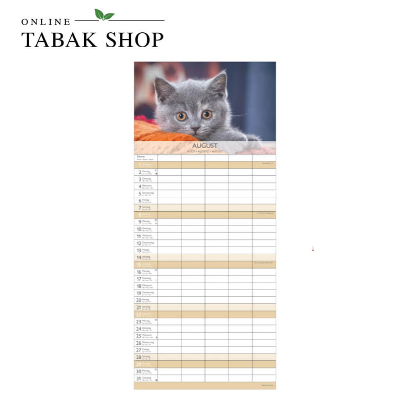 Kätzchen (Wandkalender) August