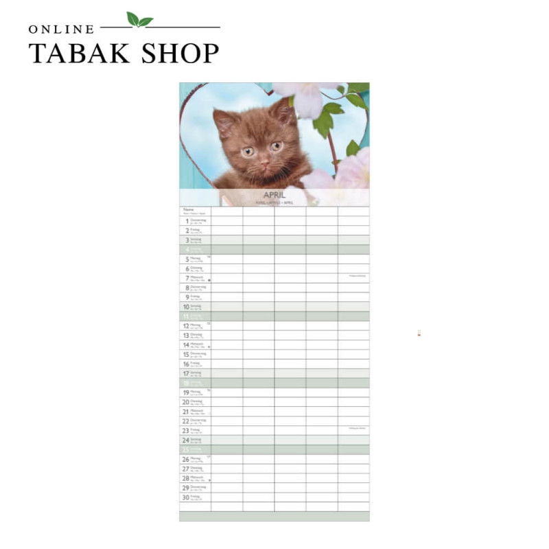 Kätzchen (Wandkalender) April