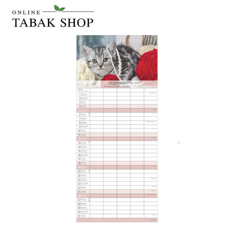 Kätzchen (Wandkalender) Dezember