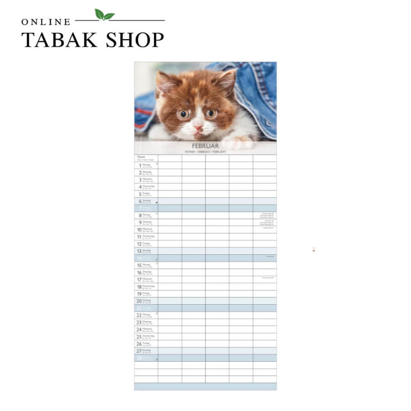 Kätzchen (Wandkalender) Februar