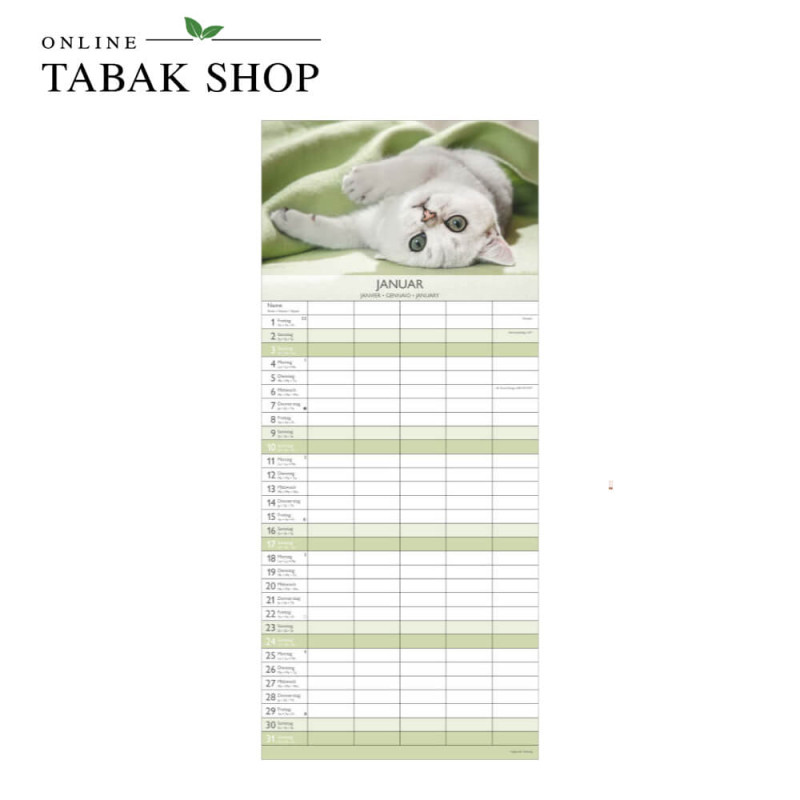 Kätzchen (Wandkalender) Januar