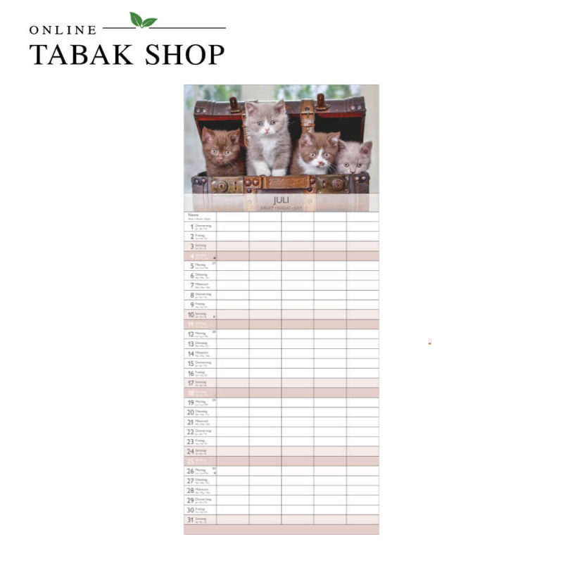 Kätzchen (Wandkalender) Juli