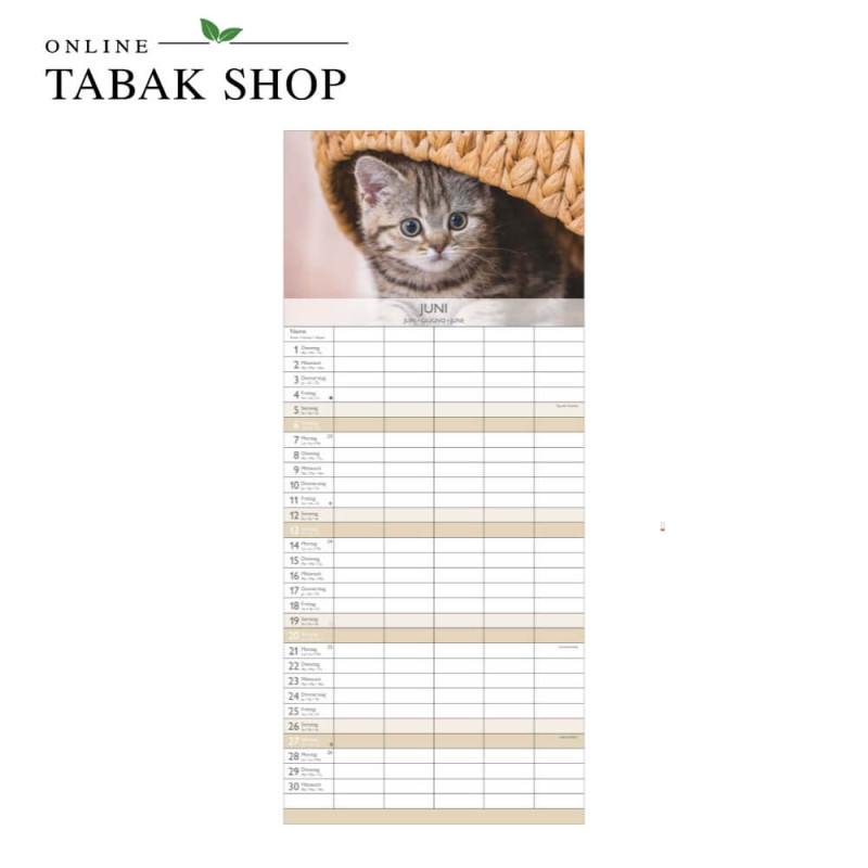Kätzchen (Wandkalender) Juni