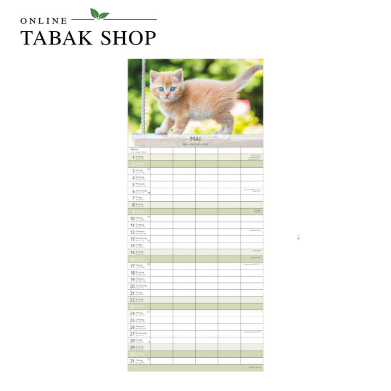Kätzchen (Wandkalender) Mai