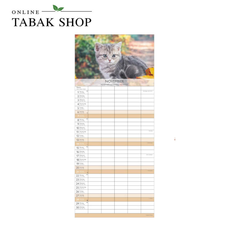 Kätzchen (Wandkalender) November