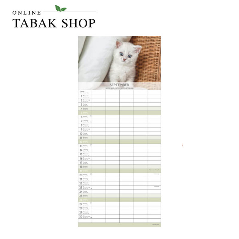 Kätzchen (Wandkalender) September