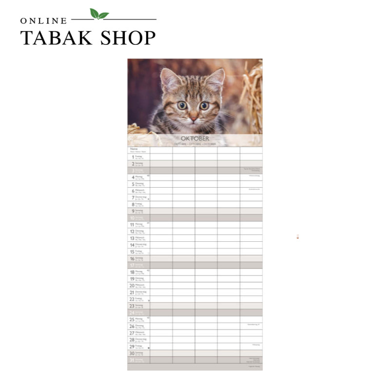 Kätzchen (Wandkalender) Oktober