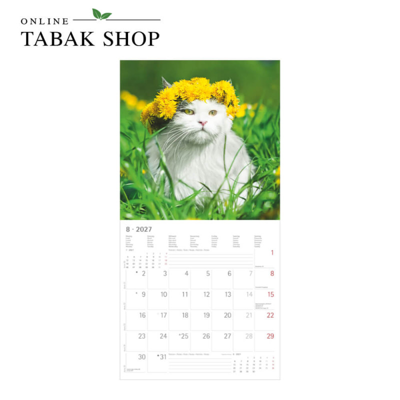 Funny Cats (Wandkalender) August