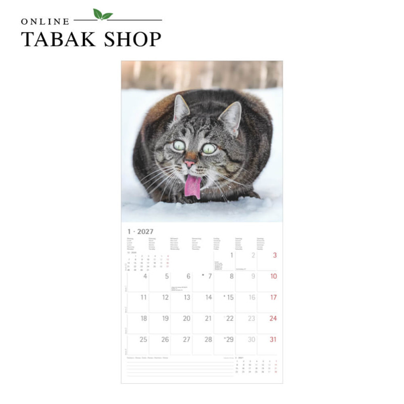Funny Cats (Wandkalender) Januar