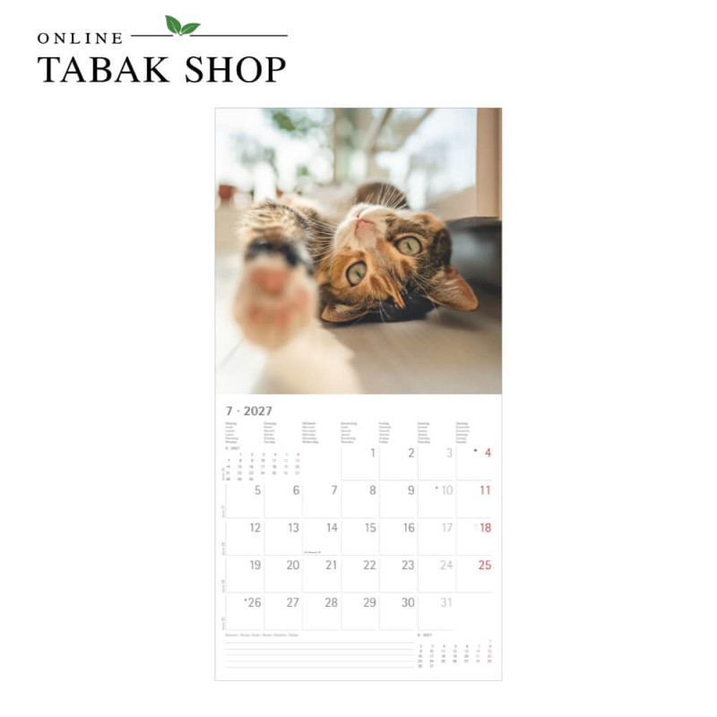 Funny Cats (Wandkalender) Juli