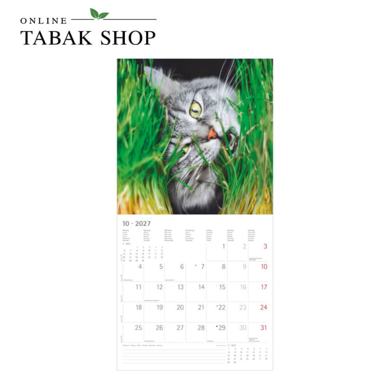 Funny Cats (Wandkalender) Oktober