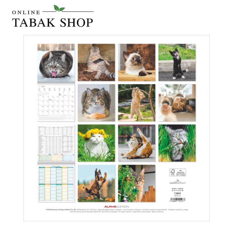 Funny Cats (Wandkalender) Rückseite
