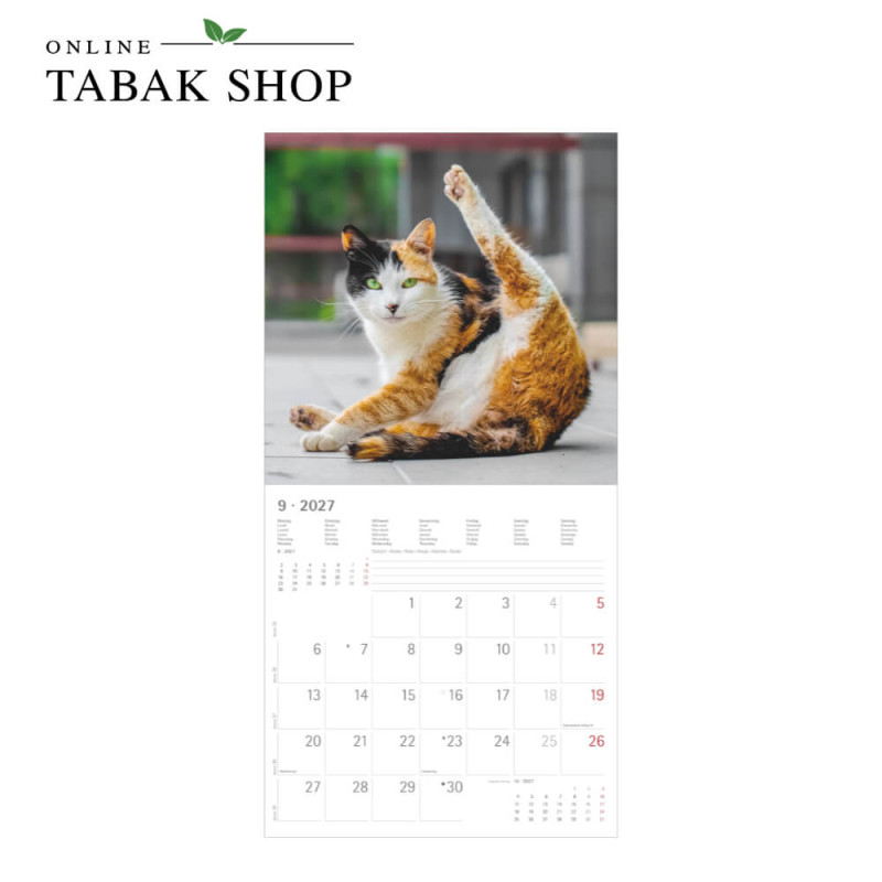 Funny Cats (Wandkalender) September