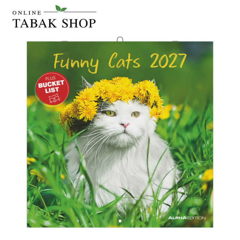 Funny Cats (Wandkalender)