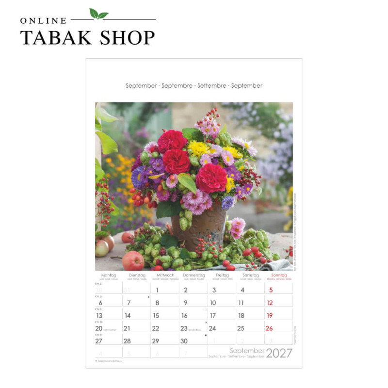 Blumen (Wandkalender) September