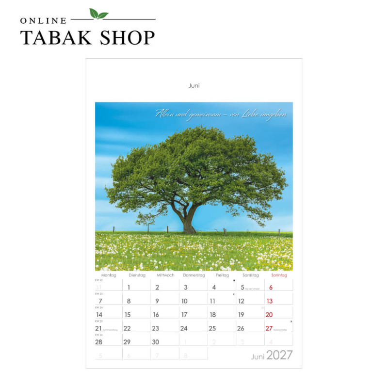 Auszeit für die Seele (Wandkalender) Juni