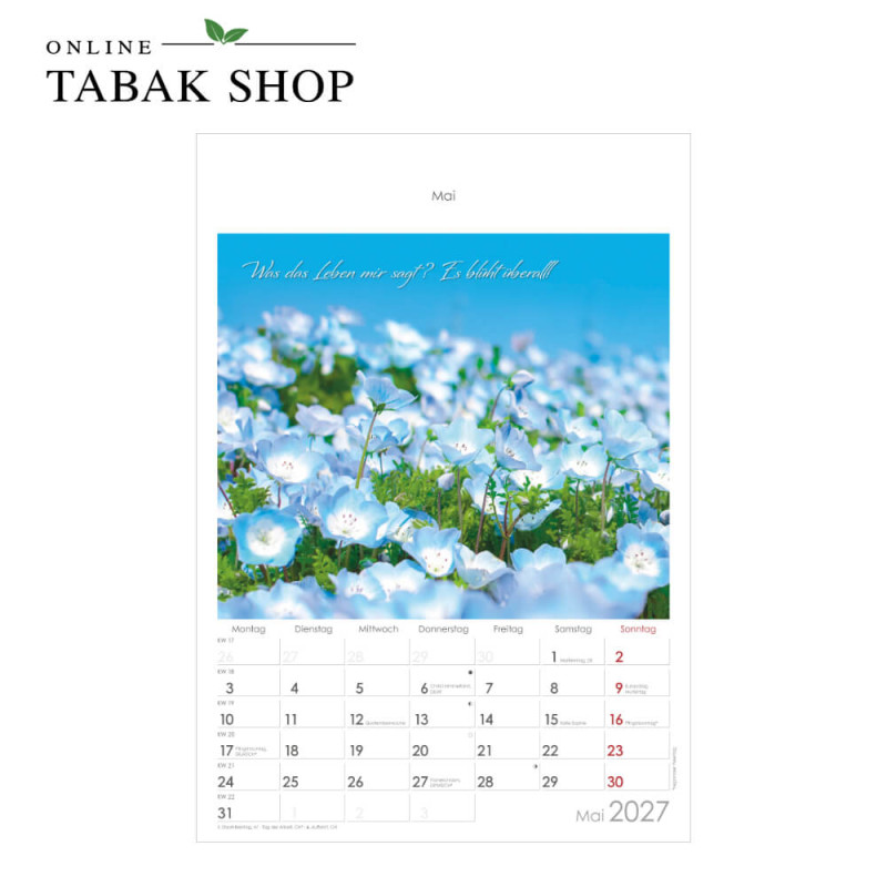 Auszeit für die Seele (Wandkalender) Mai