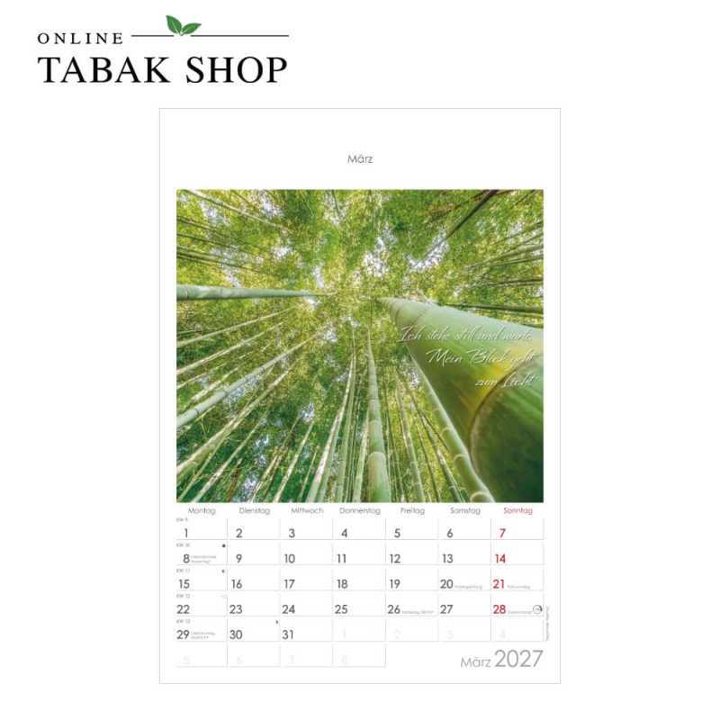 Auszeit für die Seele (Wandkalender) März
