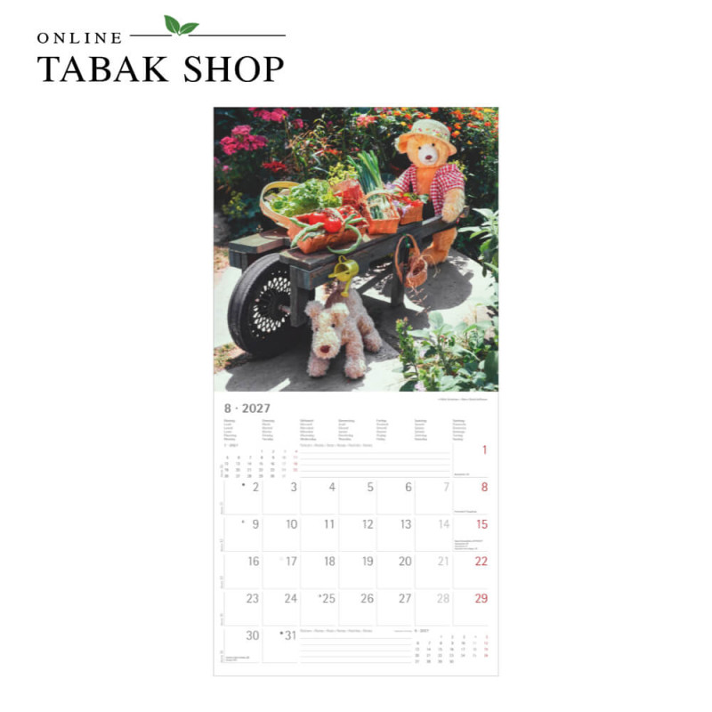 Teddy (Wandkalender) August