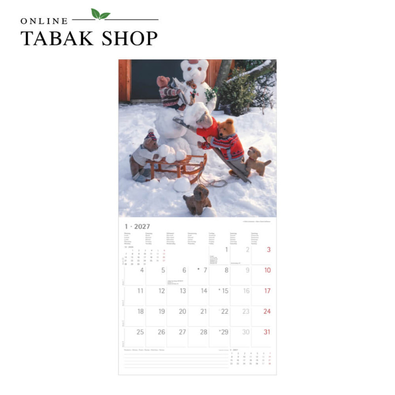 Teddy (Wandkalender) Januar