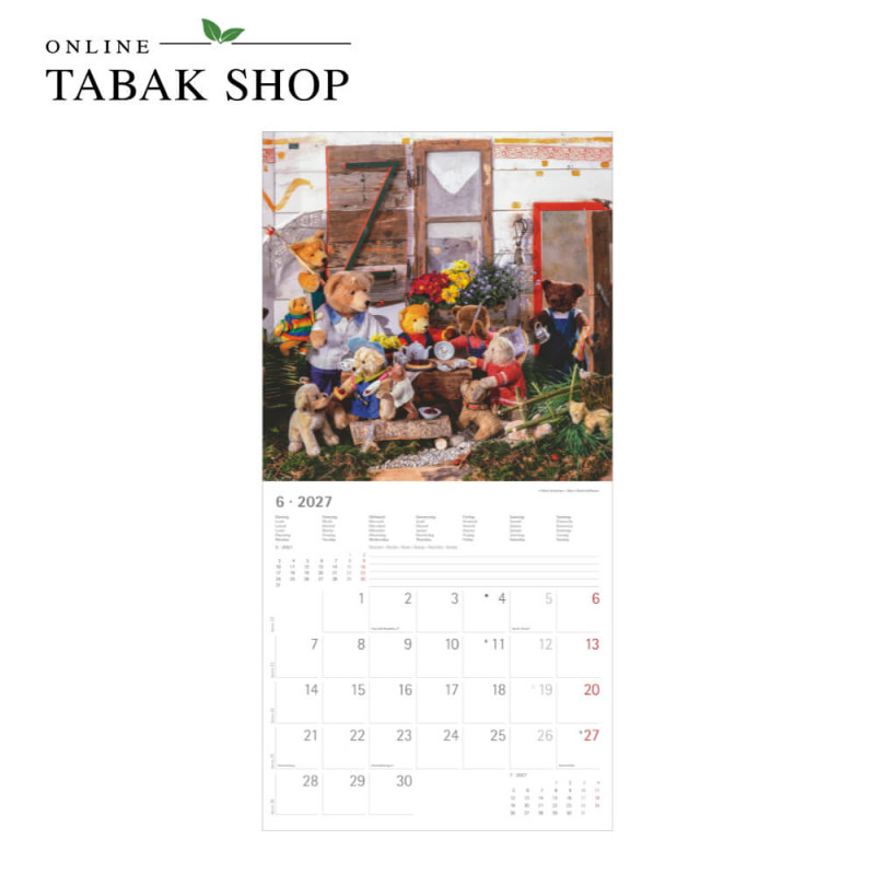 Teddy (Wandkalender) Juni