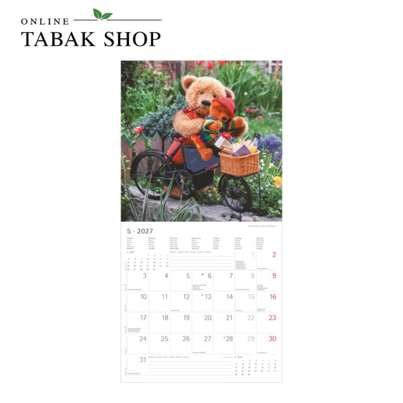 Teddy (Wandkalender) Mai
