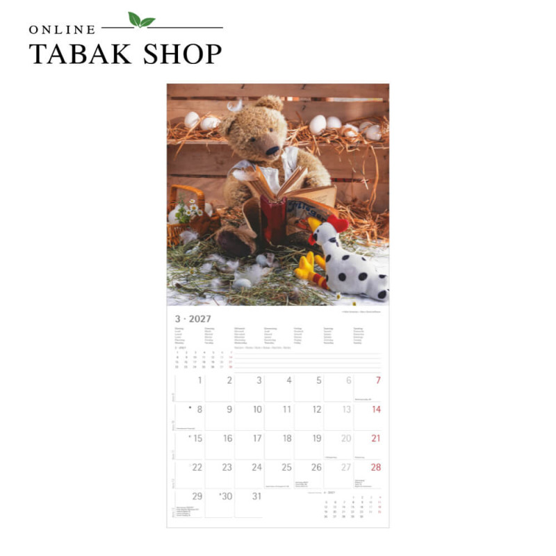 Teddy (Wandkalender) März