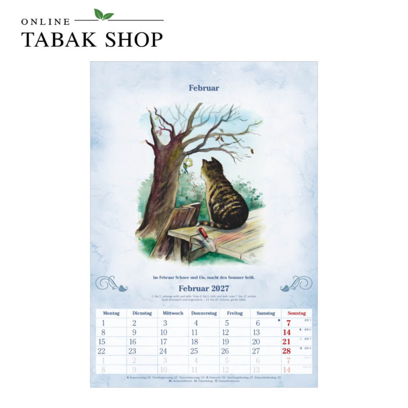 100-jähriger Kalender (Wandkalender) Februar