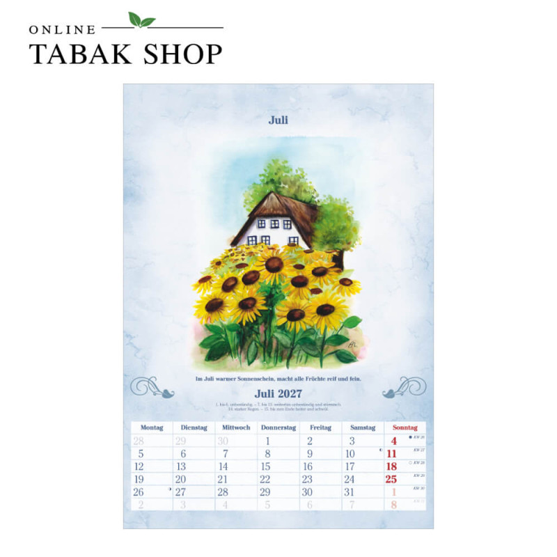 100-jähriger Kalender (Wandkalender) Juli