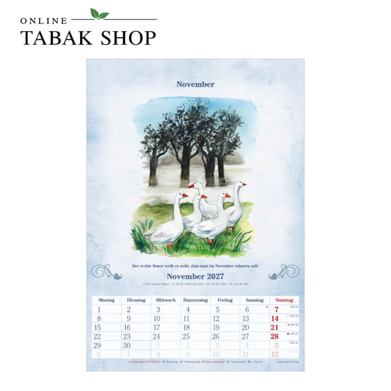 100-jähriger Kalender (Wandkalender) November