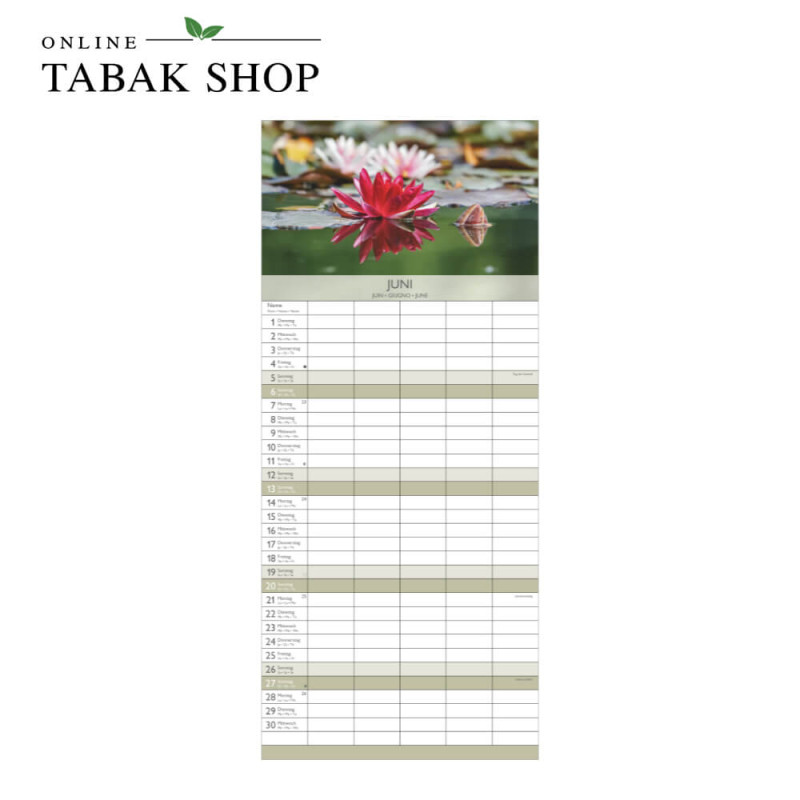 Zen (Wandkalender) Juni