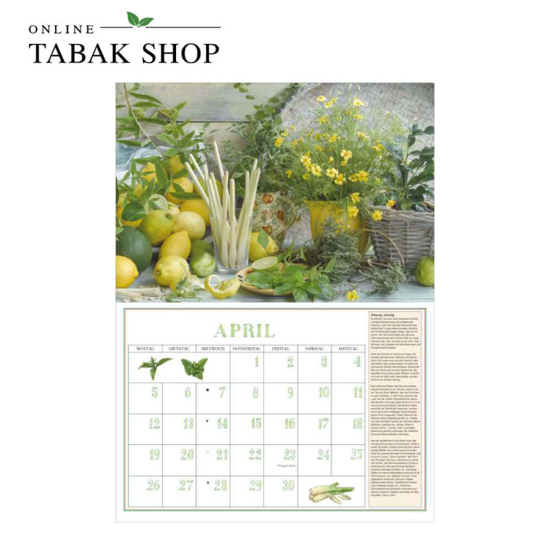DuMonts Aromatische Kräuter (Broschürenkalender) April