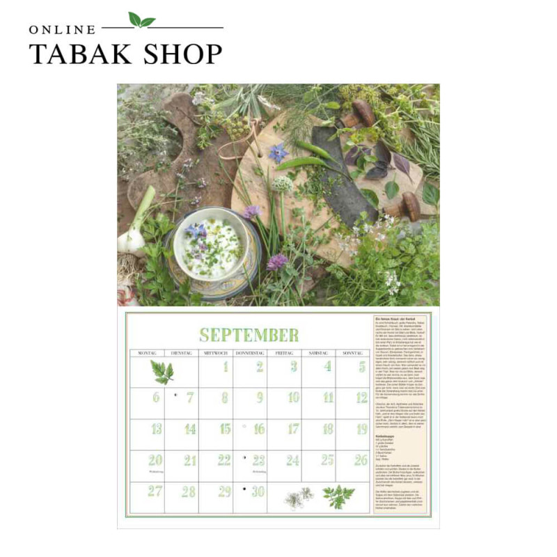 DuMonts Aromatische Kräuter (Broschürenkalender) September