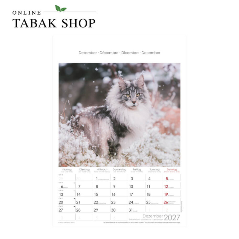 Alpha Edition Katzen Wandkalender 2027 Dezember