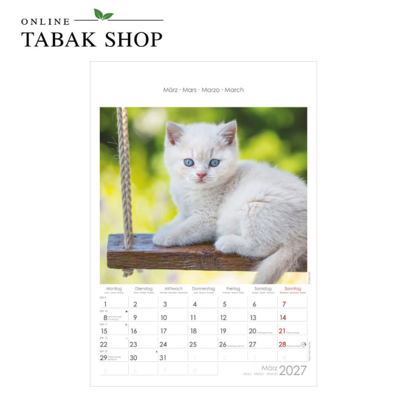 Alpha Edition Katzen Wandkalender 2027 März