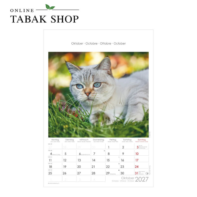 Alpha Edition Katzen Wandkalender 2027 Oktober