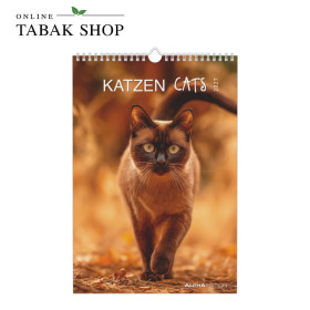Alpha Edition Katzen Wandkalender 2027