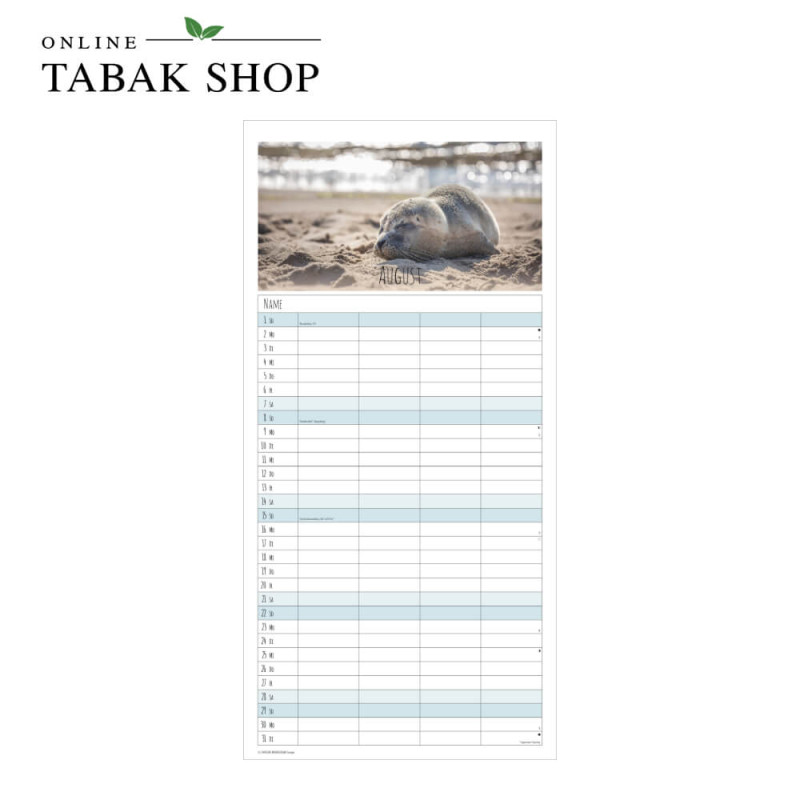 Alpha Edition Seeblicke Kalender 2027 August