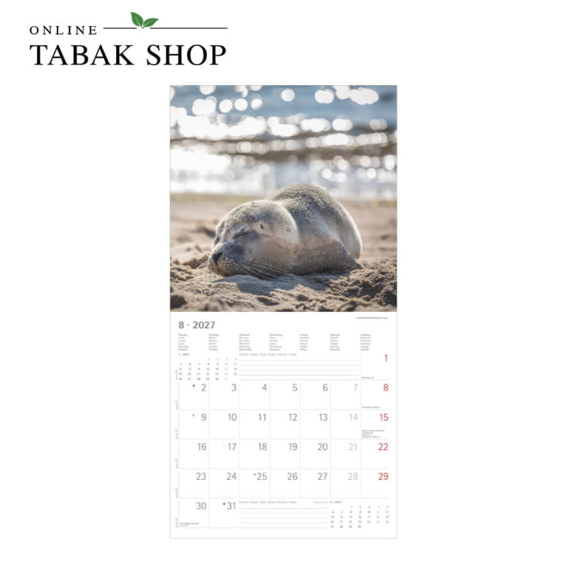 Alpha Edition Seeblicke 2027 Wandkalender August