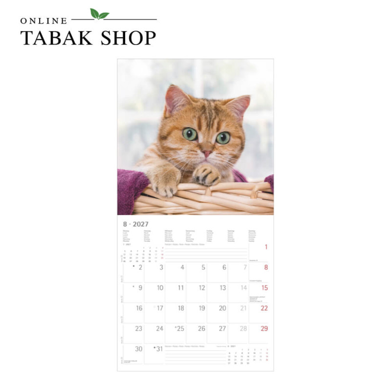 Alpha Edition Katzenkalender 2027 als Broschürenkalender August