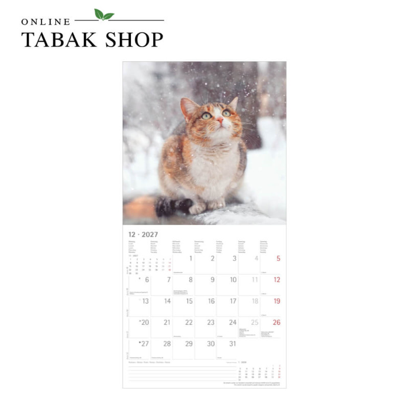 Alpha Edition Katzenkalender 2027 als Broschürenkalender Dezember