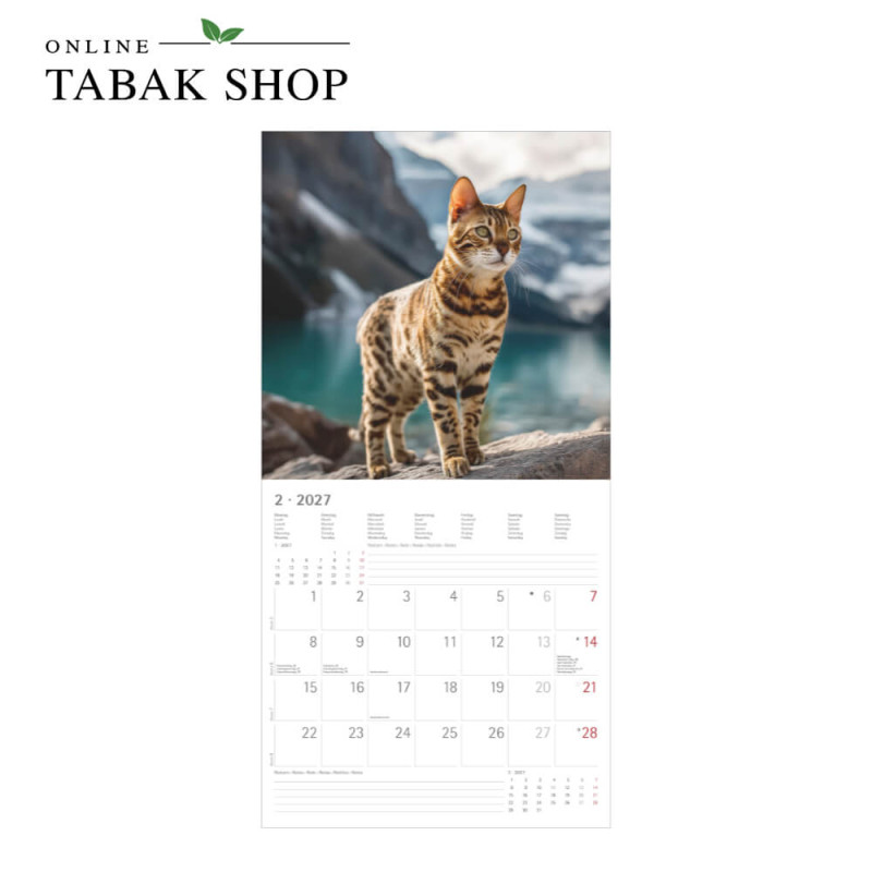 Alpha Edition Katzenkalender 2027 als Broschürenkalender Februar