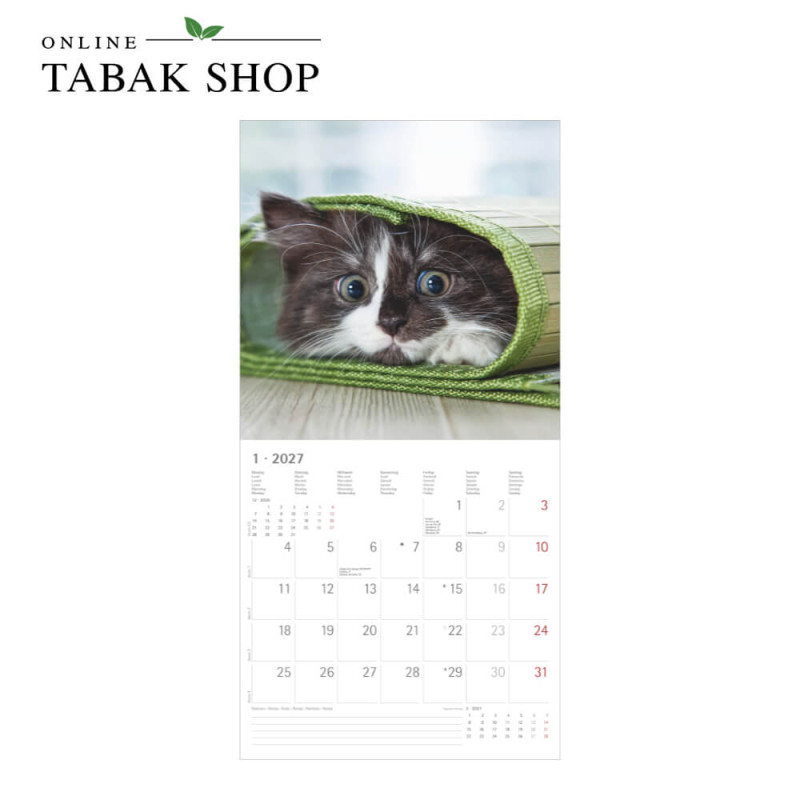 Alpha Edition Katzenkalender 2027 als Broschürenkalender Januar
