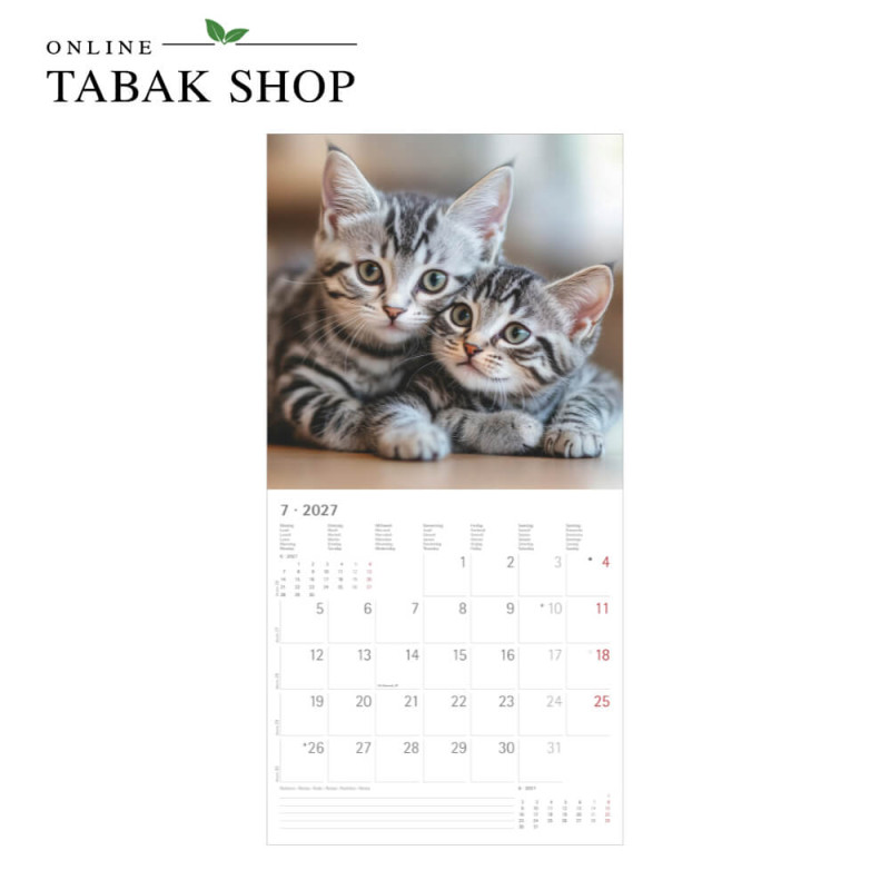 Alpha Edition Katzenkalender 2027 als Broschürenkalender Juli