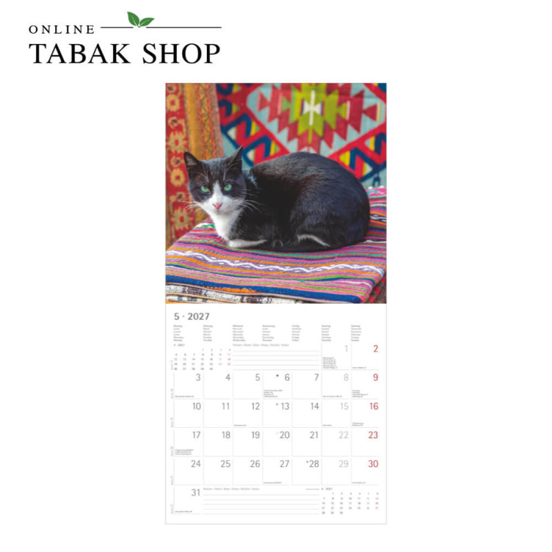 Alpha Edition Katzenkalender 2027 als Broschürenkalender Mai