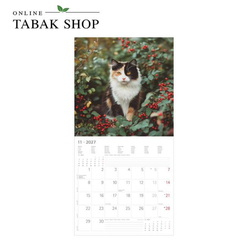 Alpha Edition Katzenkalender 2027 als Broschürenkalender November