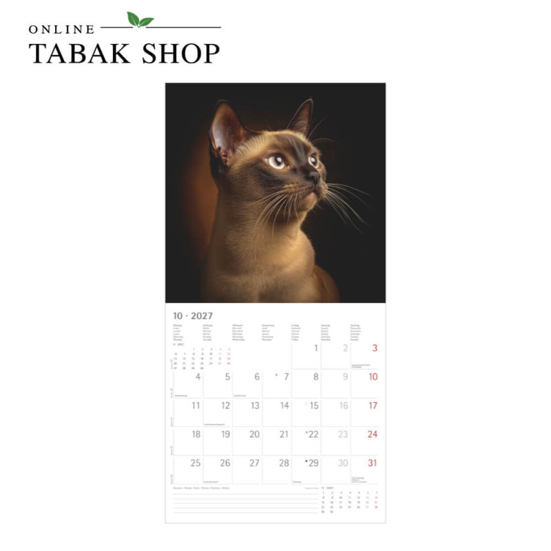Alpha Edition Katzenkalender 2027 als Broschürenkalender Oktober