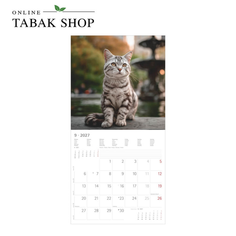 Alpha Edition Katzenkalender 2027 als Broschürenkalender September